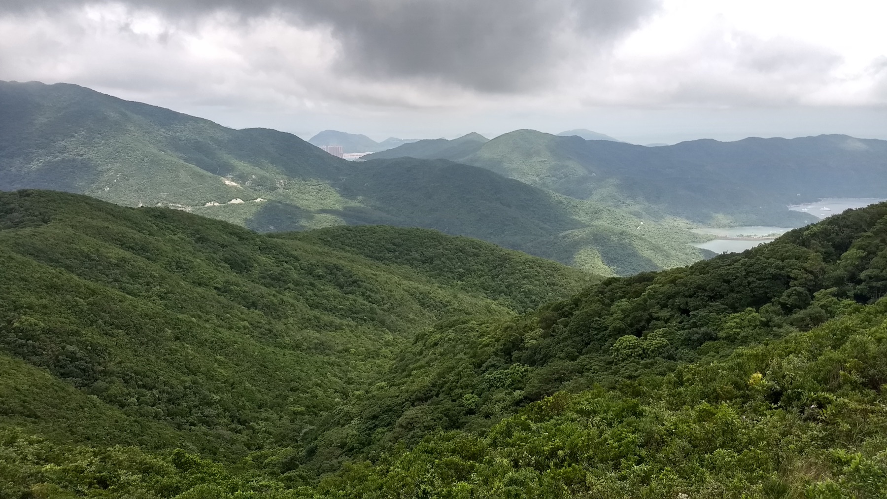 Calm reservoir water and green hills at Tai Tam